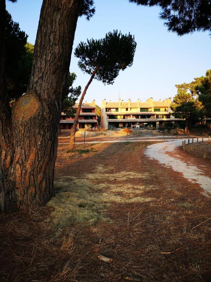 Amazing View Apartment Charneca (Setubal)